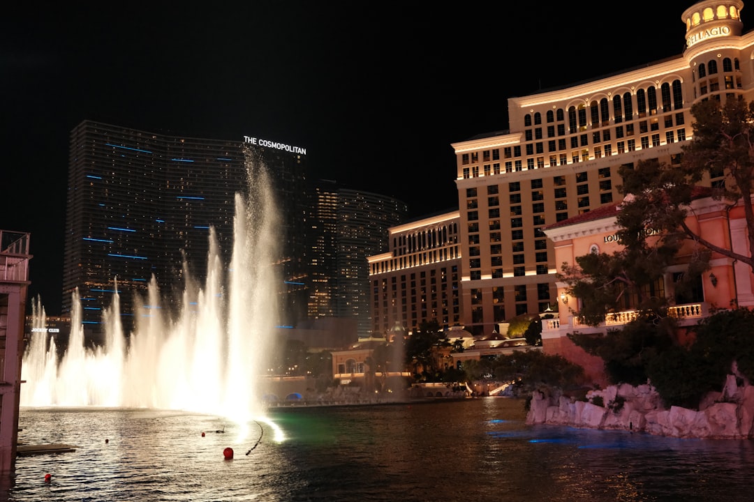 A Guide to the Best Entertainment Options at StayLifeHeaven
